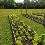 Inkluzivna farma – temelj samostalnog života